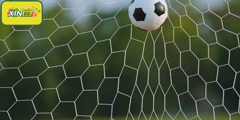 Cá độ bóng đá Xin88