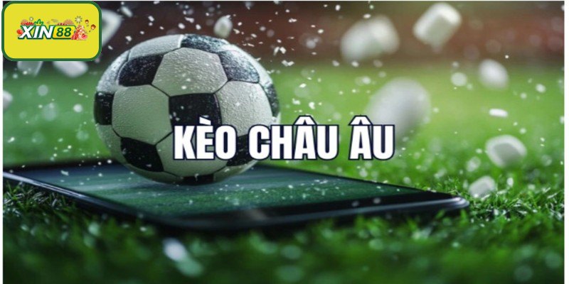 Các cửa cược cơ bản khi tham gia đặt kèo