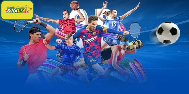 Điểm danh những bộ môn được yêu thích nhất