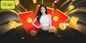 Hoàn trả cược Xin88