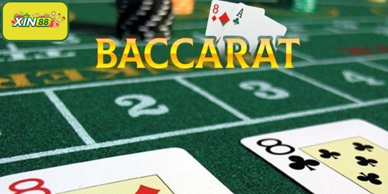 Hội viên cần tập trung khi tham gia trải nghiệm